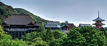 清水寺、 京都、 日本、 緑豊かな緑、 アジアの建物、 風景写真、 伝統的な建築、 文化的ランドマーク、 美しい景色、 史跡、 寺院の複合体