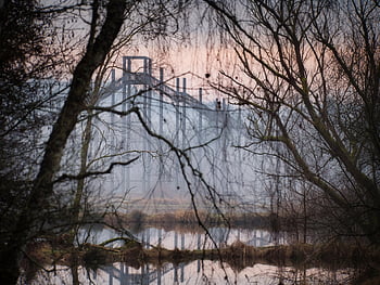tirschenreuth, heavenly Ladder, pond Landscape, pond, stages, stairs, dawn, sunrise, landscape, nature, forest