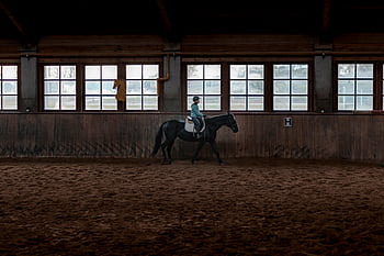 dívka jezdecký kůň, halový jezdecký výcvik, Černý kůň, Stabilní nastavení, Okna, jezdecký sport, Vnitřní aréna, jízda na koni, Školení, Stabilní prostředí, jízda v hale