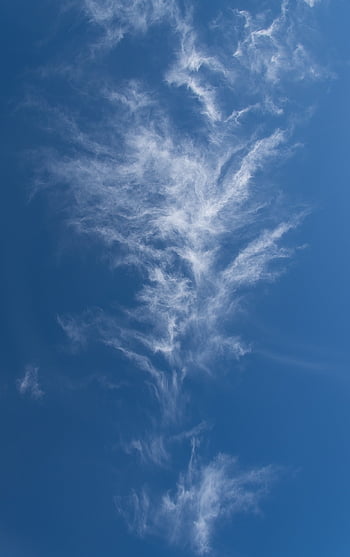 mraky, bílý, modrý, krásná tapeta, scéna s oblaky, Fotografie Pixabay, delikátní, modrá obloha, pozadí oblohy, vzor, nebe