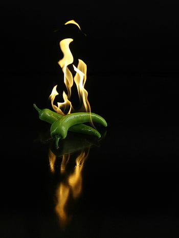 Pimenta verde, fogo, chamas, superfície escura, superfície reflexiva, Pimenta, imagem dinâmica, pimentão verde, Chili ardente, comida apimentada, arte culinária