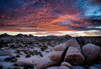 Joshua Tree National Park, zonsondergang, steenformaties, desertscape, pittoreske, adembenemend, hemel, landschap, natuur, buitenshuis, reizen