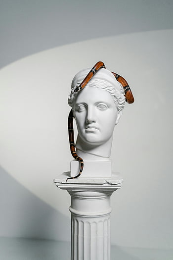 sádrová hlava, bílá socha, stočený had, minimalistické nastavení, vnitřní umění, Klasická busta, umělecké kompozice, moderní umění, Snake Art, sochařství