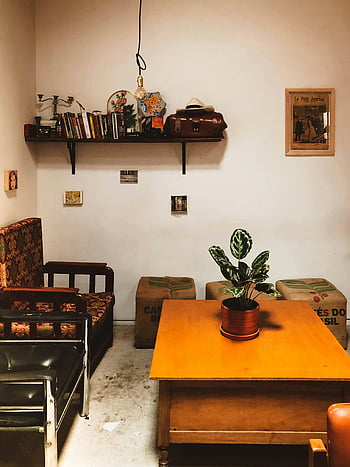 Mobilier din lemn maro, living confortabil, decor rustic, decor decorativ, cărți, plantă, Camera de zi interioară, masa de lemn, raft de lemn, cameră confortabilă, mobilier rustic