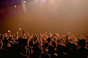 concert crowd, night time, music performance, dimly lit, nightclub, cheering, dancing, lively crowd, nocturnal music, people gathering, event atmosphere