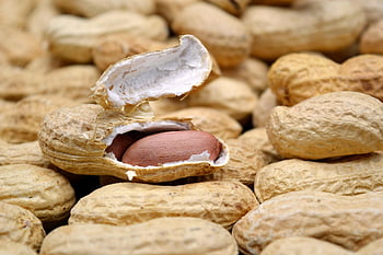 cacahuètes, des noisettes, aliments, régime, macro, nourriture, coquille de noix, collation, en bonne santé, délicieux, cacahuètes grillées