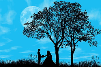 love, romantic, feelings, romance, couple, relationship, affection, together, pair, boyfriends