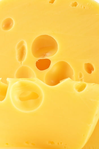 cheese, milk, food, nutrition, healthy, farm, butter, parmesan Cheese, curd, fat