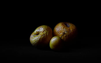 fruits, apples, dark Room, still Life, contrast, fruit, light Beam