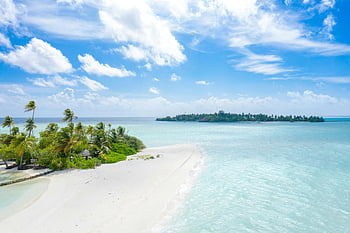 île de la plage, ciel bleu, plage tropicale, Maldives, eau bleue claire, vue aérienne, sable blanc, palmiers, Île paradisiaque, destination de voyage, lieu de vacances