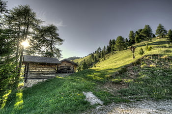 Green Grass, countryside landscape, wooden cabins, hillside, sunset, serenity, nature's tranquility, rural scene, natural beauty, peaceful setting, scenic view