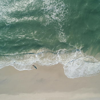 white sand beach, top view, tranquil beach, waves lapping shore, lone figure, shadow, aerial view, ocean waves, beach scene, coastal view, seaside tranquility