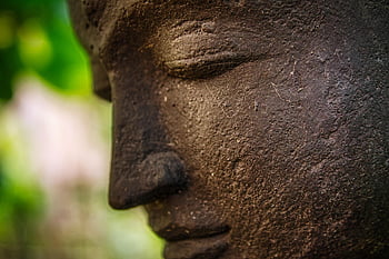 Buddha, jóga, rozjímání, relaxovat, sociální péče, buddhismus, držení těla, duchovní, zdraví, modlitba, duchovno