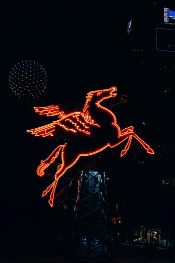 Pegasus neon işareti, kentsel gece hayatı, canlı gece hayatı, ışıklı tabela, Neon Pegasus, çarpıcı neon, gece çekimi, şehir Işıkları, kentsel sahne, gece fotoğrafçılığı, neon sanat