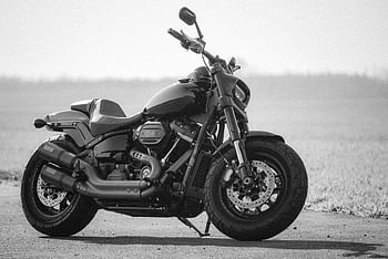 motocykl harley-davidson, fotografie ve stupních šedi, Černý a bílý, zaparkované na silnici, Design motocyklů, klasický motocykl, ročník motocyklu, venkovní nastavení, silniční kolo, fotografování motocyklů, Monochromatický obrázek
