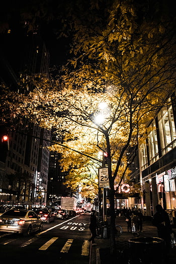 Nighttime City Street, ต้นไม้ที่ส่องสว่าง, คนเดินเท้าที่คึกคัก, เมืองที่มีชีวิตชีวา, การจราจรกลางคืน, สถานบันเทิงยามค่ำคืนในเมือง, แสงไฟของเมือง, สถานที่เกิดเหตุ, การถ่ายภาพกลางคืน, cityscape, ฉากกลางคืน