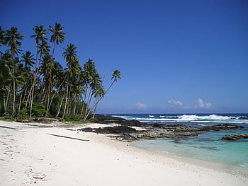 praia tropical, Palmeiras, areia Branca, Azure Ocean, céu azul claro, cena idílica, Paraíso Tropical, férias na praia, ondas do oceano, paisagem costeira, ilha tropical