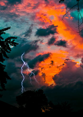 relâmpago, Hora dourada, Sunset vibrante, céu dramático, céu de chicago, relâmpago do sol, nuvens coloridas, fenómeno natural, céu noturno, tempo tempestuoso, silhueta de árvore