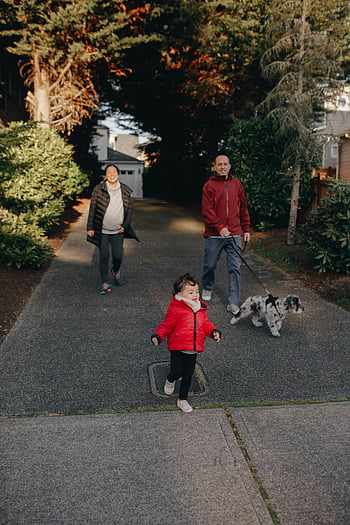 Familievandrende hund, solskinsdag, forstæder kvarter, glade øjeblikke, udendørs gåtur, familie tid, kæledyr ejer, spadseretur i nabolaget, familieaktivitet, hund gåtur, familie tur
