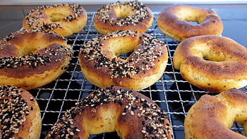 bagel, prima colazione, delizioso, pasto, cibo, gustoso, ciambella, fresco, brunch, forno, pagnotta