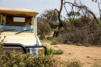 safari, adventure, transportation, sand, jeep, offroad, travel, auto, driving, vehicle, road
