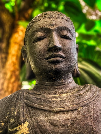 jóga, Buddha, rozjímání, relaxovat, duchovní, sociální péče, buddhismus, náboženství, čakra, socha, duchovno