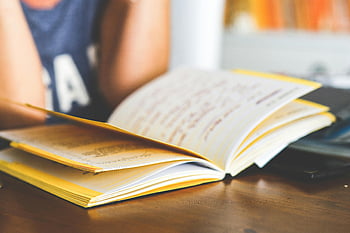 Mädchen lesen, Notizbuch, handgeschriebene Notizen, Studie, Bildung, Kreatives Schreiben, Notebook öffnen, Schreibtisch, Lernen, Fokus, Konzentration