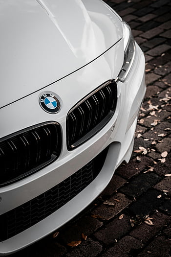 coche de lujo blanco, BMW, rejilla delantera, calle de adoquines, carro estacionado, Vista detallada, coche blanco, vehículo de lujo, exterior, aparcamiento en la calle, logo de bmw