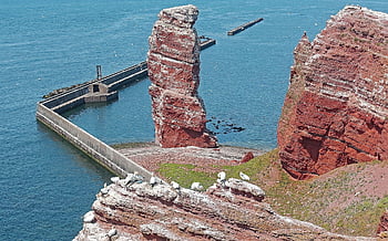 helgoland, lange anna, Skála, Severní moře, Německo, mořských ptáků, dumat, útesy