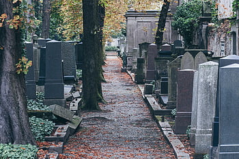 graveyard, tombstones, cemetery, path, graves, burial Ground