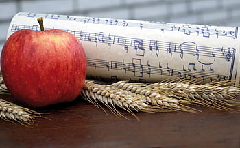 thanksgiving, corn Ear, grain Harvest, grain, apple, to Sing, grades, thanksgiving Songs, fall, songs, sheet Music