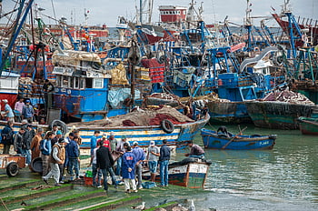 essaouira, Fas, yerel balıkçılar, hareketli liman, canlı tekneler, ahşap rıhtım, denizde balık tutma, liman sahnesi, deniz faaliyeti, balıkçı teknesi, liman ömrü