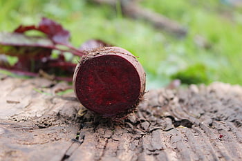 beetroot, red, beet, vegetables, food, healthy, vegan, fresh, vegetarian, vitamins, eat