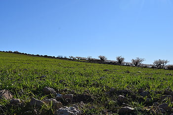 krajobraz, pole, Natura, kochanie, wiejski, moutains, sceneria, Murcia, cañada de la cruz, Hiszpania