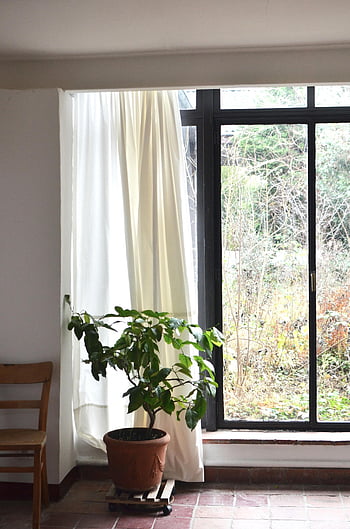 Wohnung Interieur, Panoramafenster, Topfpflanze, natürliches Licht, gemütliches Zimmer, großes Fenster, ruhiges Zimmer, Zimmerpflanze, Fensteransicht, Wohnkultur, Wohnraum