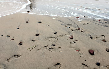 Strand, Natur, Meer, Fußabdrücke, Sand, Wasser, Küste, Ferien