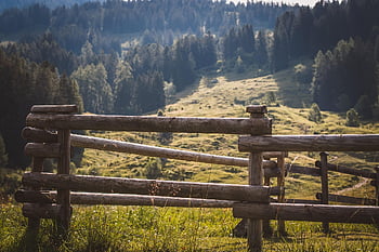 cerca, cerca de madeira, panorama, Alpes, Pomar, pasto, vale, natureza, arvores