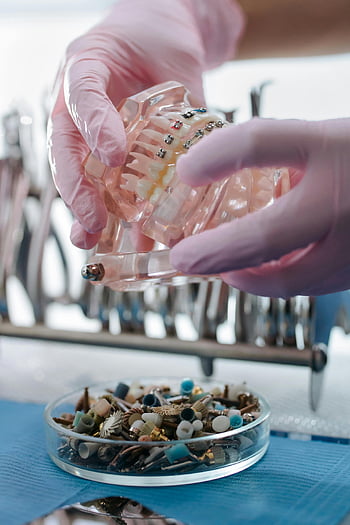 guanti in lattice, mascella di plastica, protesi dentaria, impostazione clinica, Mani di gomma, strumenti dentali, avvicinamento, modello dentale, attrezzatura dentale, clinica dentale