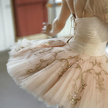 ballerina, pink tutu, gold glitter designs, ballet performance, close-up, graceful, detailed tutu, dance, performance art, stage, costume