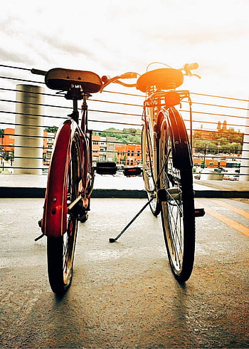 ビンテージの自転車、 都会の屋上、 日没の街並み、 2台の自転車、 直立した、 シティービュー、 屋上駐車、 日没のシーン、 都会の風景、 ビンテージバイク、 街のスカイライン