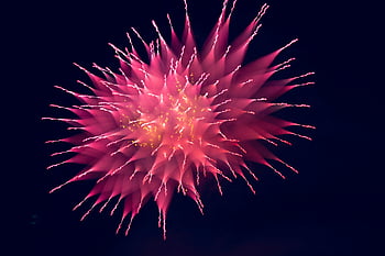 pink fireworks, dark night sky, vivid explosion, digital wallpaper, pink and beige, stunning display, night fireworks, colorful fireworks, night scene, fireworks display, digital art