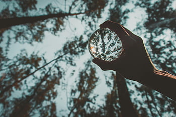 Křišťálová koule, ruka hospodářství, lesní odraz, klidný les, strom reflexe, fotografování přírody, venkovní fotografie, fotografie křišťálové koule, nastavení lesa, přirozené světlo, odrazný povrch