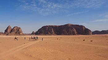 wadi Rum, jordan, desert, camels, cameleers, sand, mountains, rock Formations, badlands, arid, dry