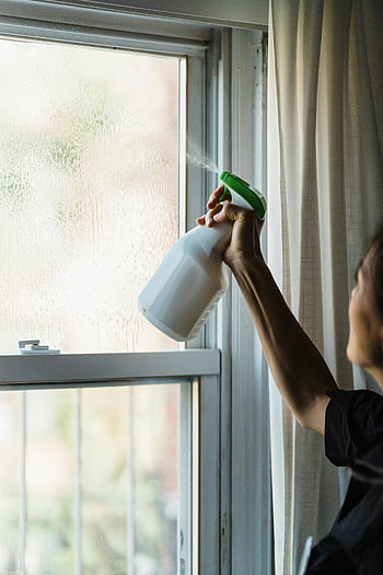vinduesrengøring, spray dåse, indendørs rengøring, renhed, hygiejne, person rengøring, Vindueshygiejne, indendørs vindue, rengøringsproces, Hjemhygiejne, Rengøringsværktøj