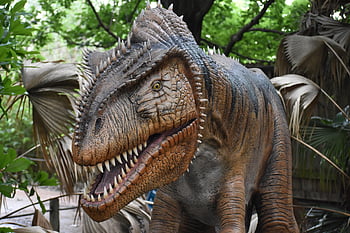 恐竜、 t-rex、 スケルトン、 博物館、 アーティファクト、 死の化石、 先史時代の、 ジュラ紀の捕食者、 考古学、 野生生物の巨大な絶滅、 古生物学研究