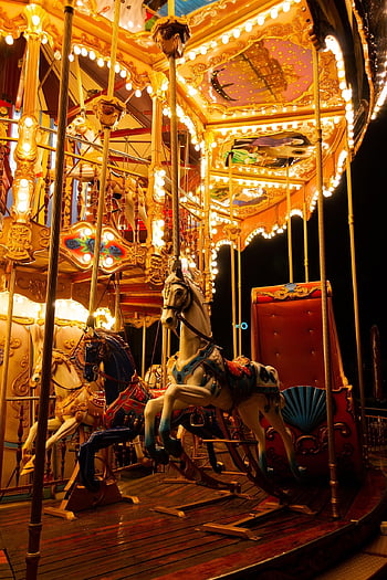 carousel, horse, amusement Park, amusement Ride, merry-go-round, circus, entertainment, childhood, fairground, lights, night