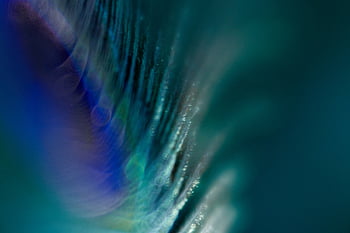 peacock, feather, background, texture, abstract, detail, pattern, exotic, animal, bird, tail