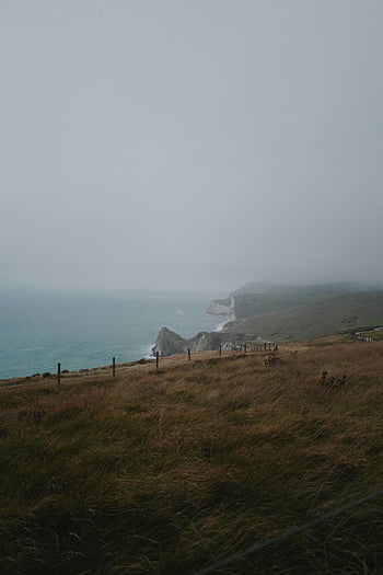 kystnære udsigt, bølgende bakker, græs felter, Misty Sea, Rolig landskab, grønt græs, havudsigt, kystgræs, Misty Coastal, natur, Seaside Landscape