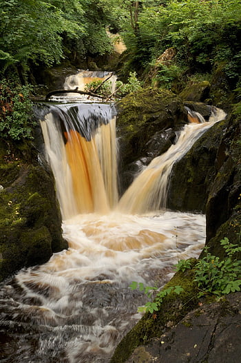 vodopád, ingleton, yorkshire dales, voda, yorkshire, Dales, řeka, venkov, stezka, zelená, Příroda