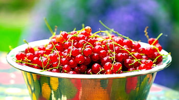 currants, berry, fruit, healthy, berry Fruit, ripe, vitamins, red, food